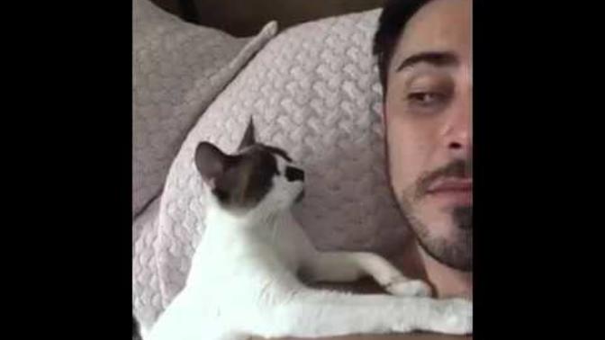 Girls, who is cuter here, the man or the cat?