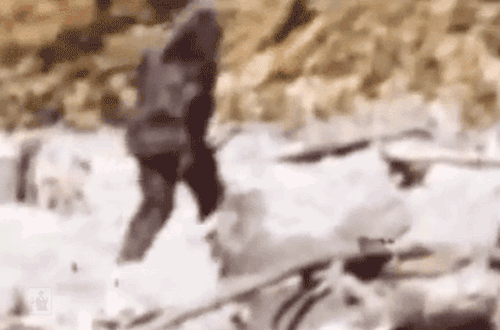 What do you call multiple Bigfoot? Bigfoots? Bigfeet?