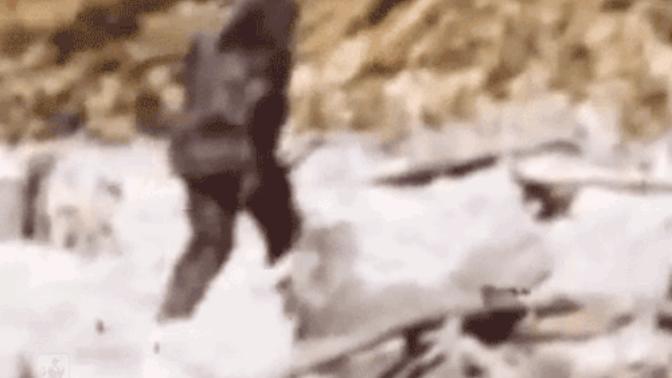 What do you call multiple Bigfoot? Bigfoots? Bigfeet?