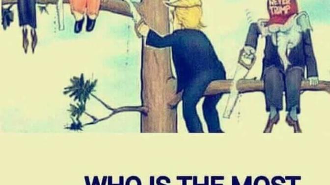 Who is more stupid?