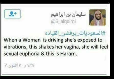 Do you agree with this guy that women get sexual pleasure from driving?