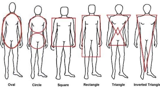 Which is your favorite body type on guys?