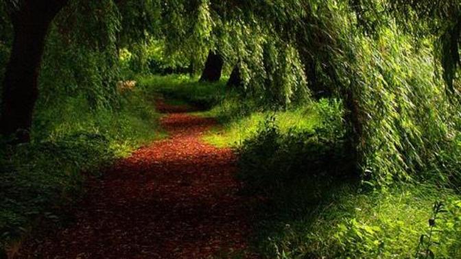 Is life, love, hate sight , sound an illusion?