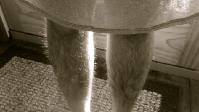 Views opinions and comments about female body hair?