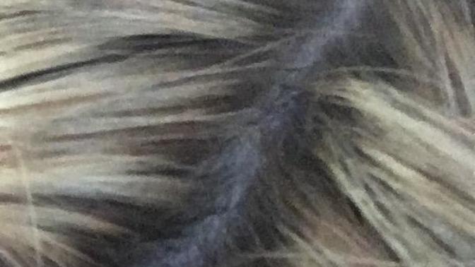 What is my natural haircolor?