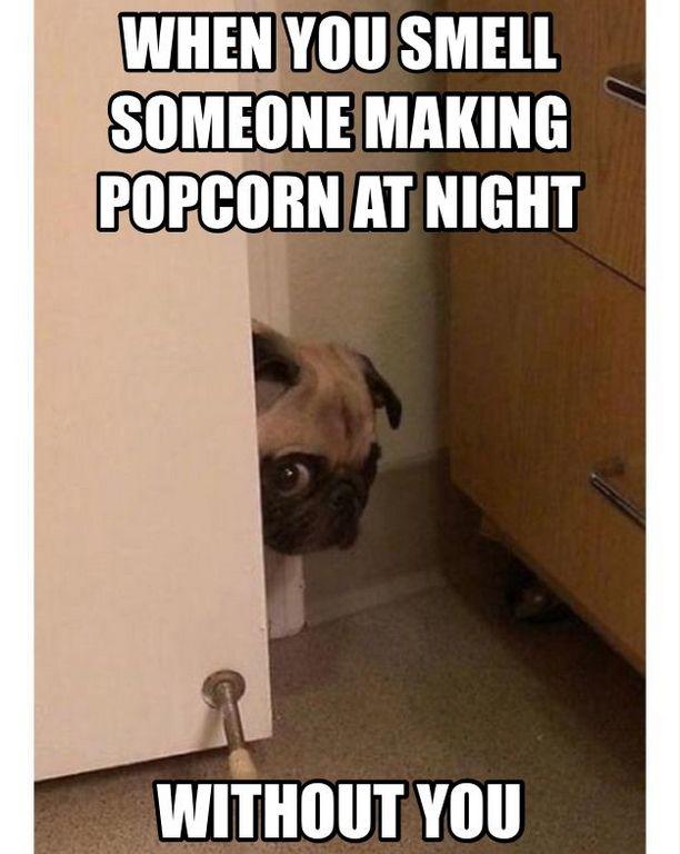 Is that how you feel?