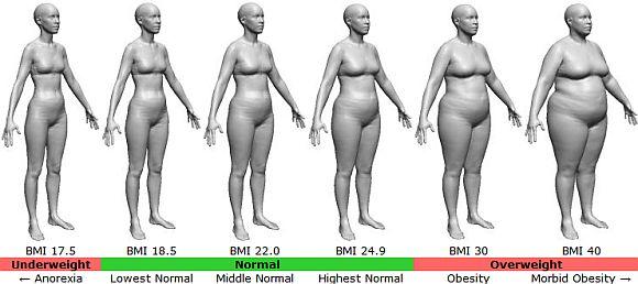 Guys, which is more important when it comes to attractiveness, weight or waist to hip ratio?