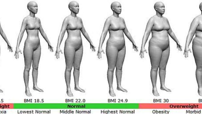 Guys, which is more important when it comes to attractiveness, weight or waist to hip ratio?