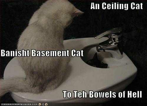 Whose side are you on?  Ceiling Cat or Basement Cat??