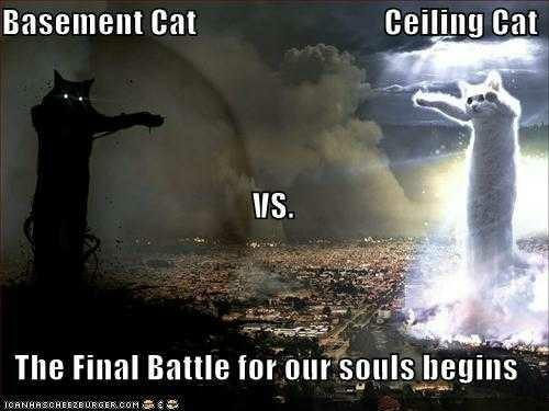 Whose side are you on? Ceiling Cat or Basement Cat??
