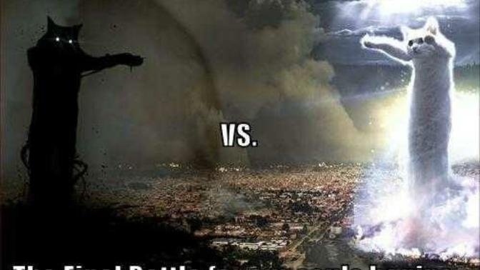 Whose side are you on? Ceiling Cat or Basement Cat?