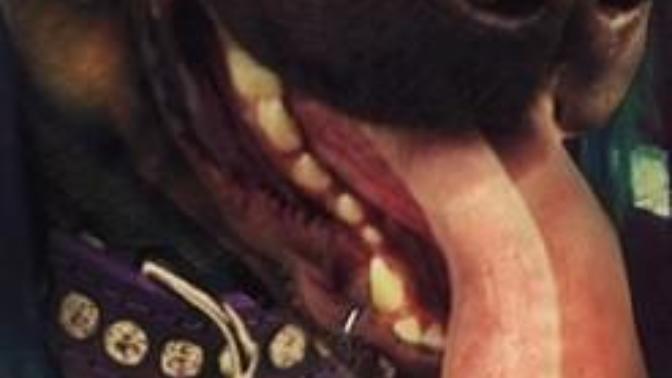 What do you think of my lip ring?
