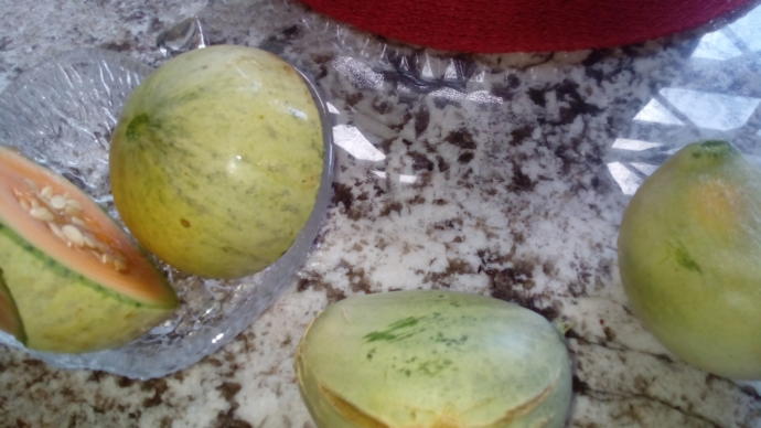 What are these fruits?