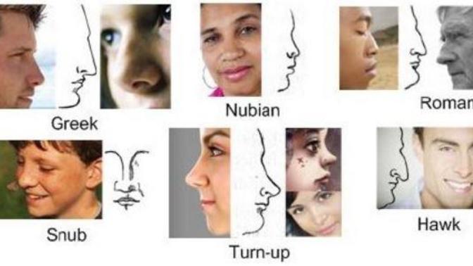 Girls, Ladies, what do you find is the most attractive type of nose on a man?