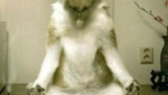 Ways to calm nerves and anxiety down before you give a talk or get up in front of people?