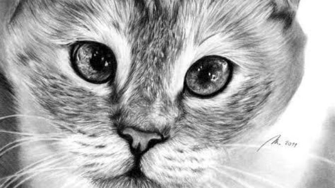 Rate my drawing in my avatar? And compare it with others?