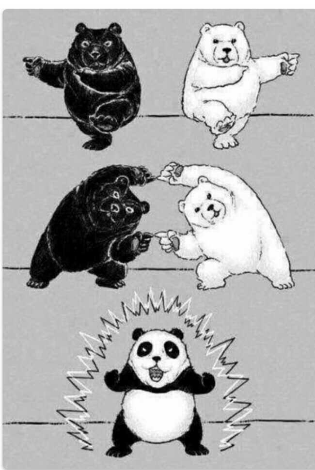 is this how pandas cam to existence??