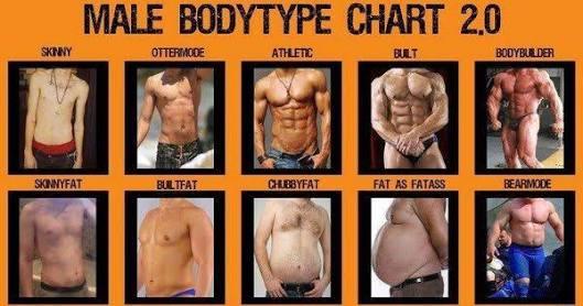 Girls, What body type of guys do you perfer?