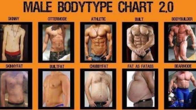 Girls, What body type of guys do you perfer?