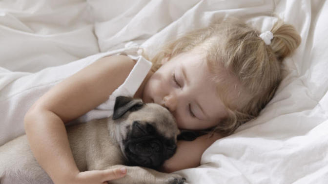 Do you sleep with your pet?