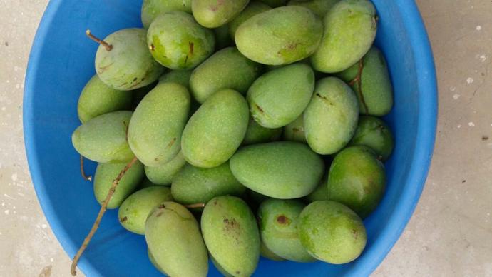 Share your opinions about Mangoes or any other fruit you love <3?