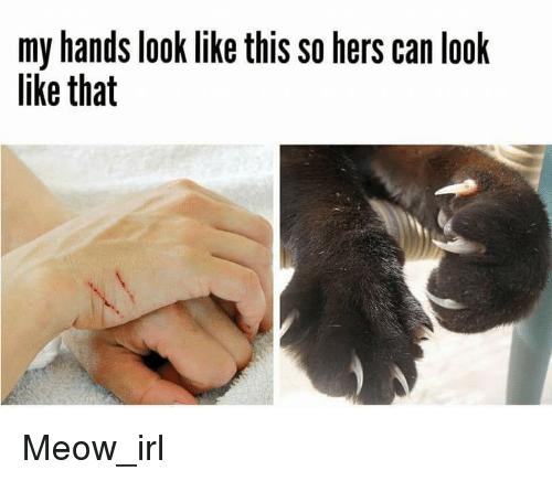 People with cats, what do you do about their claws?