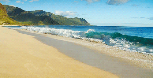 You discover a beautiful island where you may build your own society and you get to make the rules. What is the first rule you put into place?