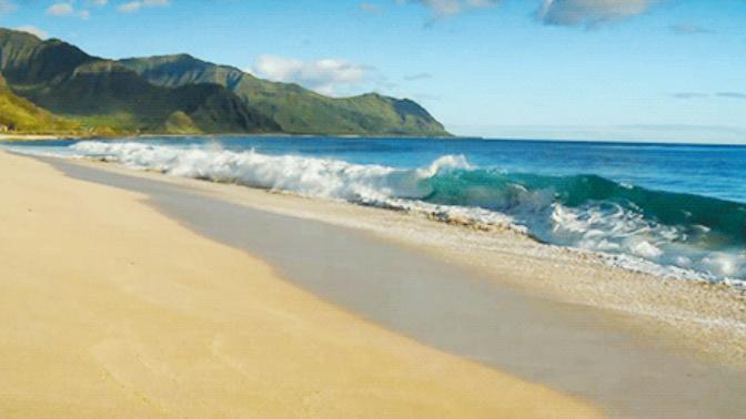 You discover a beautiful island where you may build your own society and you get to make the rules. What is the first rule you put into place?