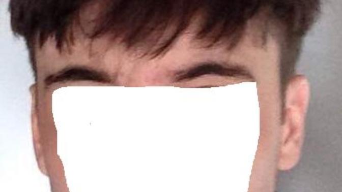 Which fringe style looks better (read text before commenting)?