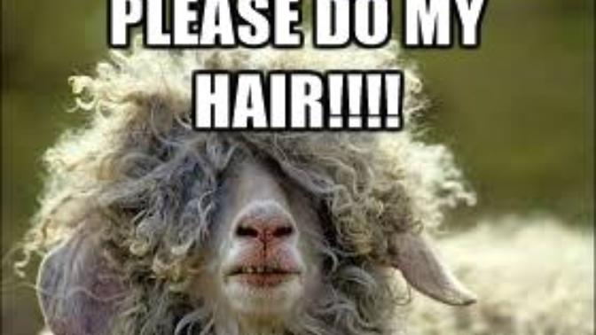 Do you have any tips to help me cut my boyfriends hair?