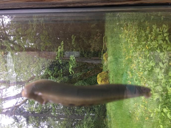 Is 5 inches too big or too small?