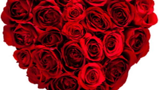 Girls do you like receiving flowers from your bf/husband?