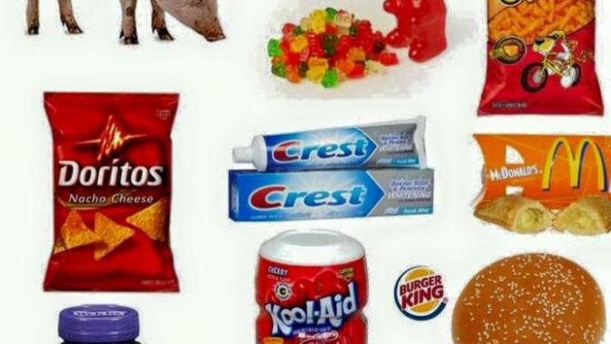 Can a vegetarian eat these?