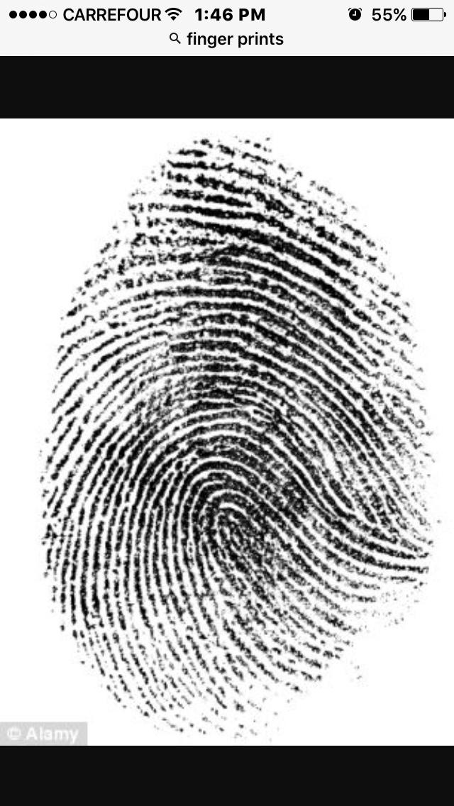 Quick survey on finger tip types.?