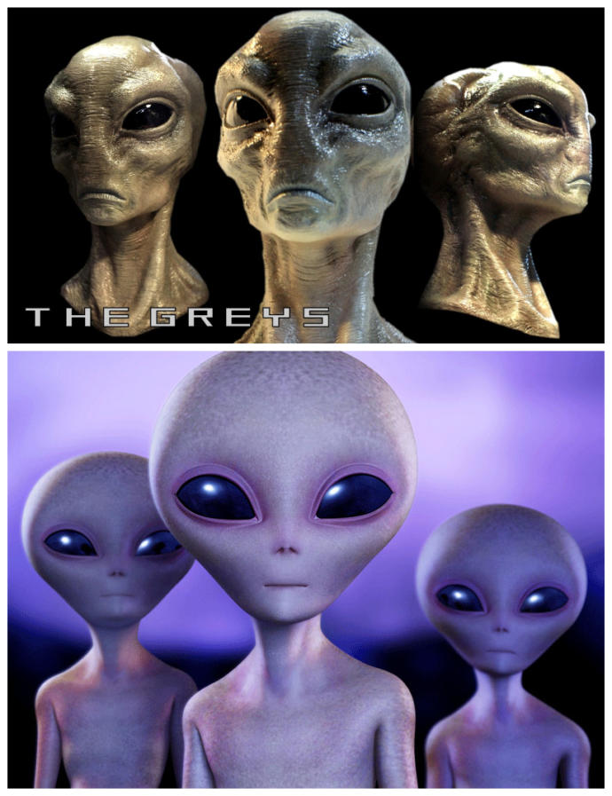 Do you wish you have an alien friend?