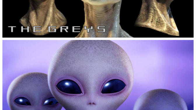 Do you wish you have an alien friend?