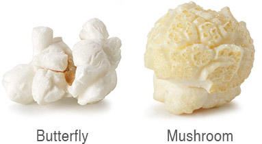 Popcorn: mushroom or butterfly?