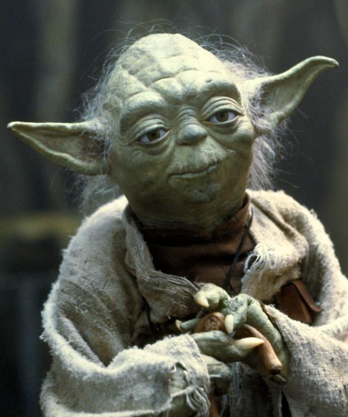 Master Splinter or Master Yoda? Who would you want as your mentor?