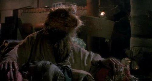 Master Splinter or Master Yoda?  Who would you want as your mentor?