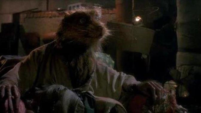 Master Splinter or Master Yoda? Who would you want as your mentor?