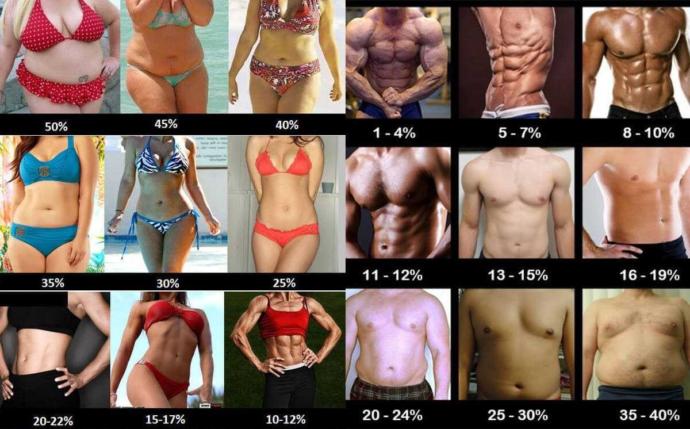 What is your preferred body fat percentage in the opposite sex??