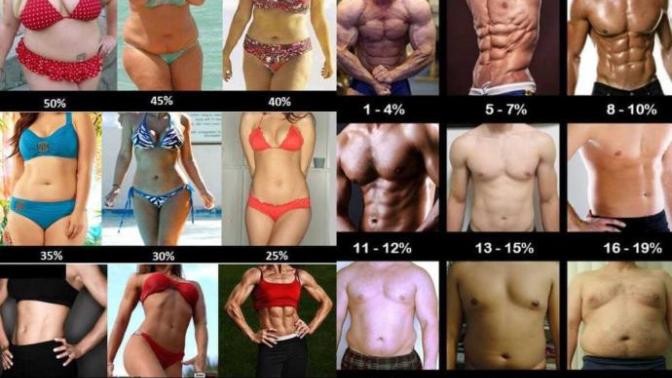 What is your preferred body fat percentage in the opposite sex?