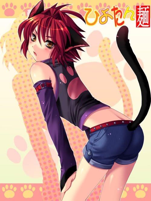 I'm curious to know? Questions for femboys?