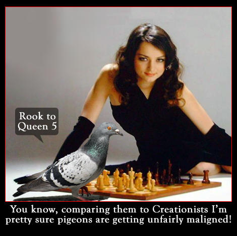 Would you like to own a pet pigeon and teach it to play chess?