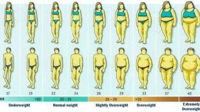 Why did he call me overweight?
