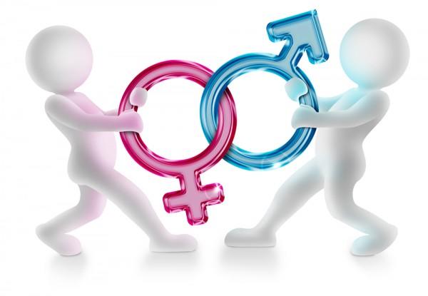 Is anyone else sick and tired of the gender wars?