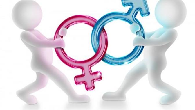 Is anyone else sick and tired of the gender wars?