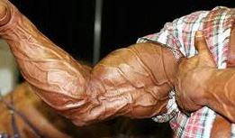 Are veins sexy?
