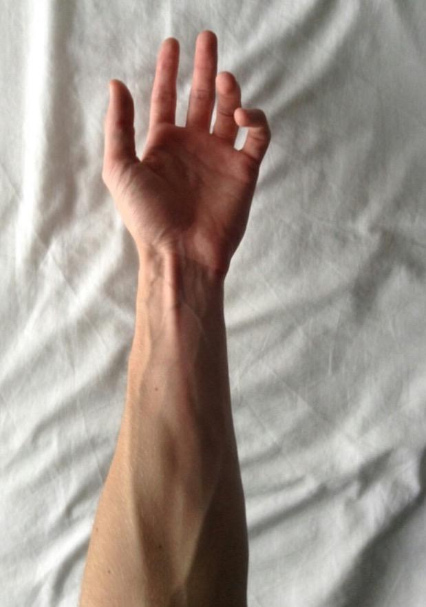 Are veins sexy?