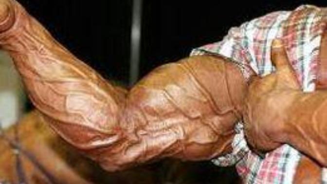 Are veins sexy?